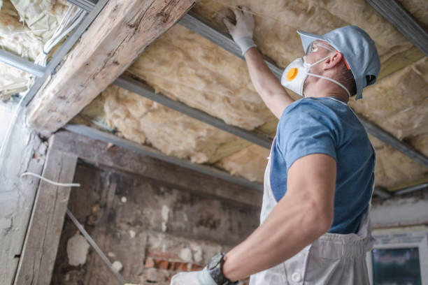 Best Insulation Removal  in Groesbeck, OH